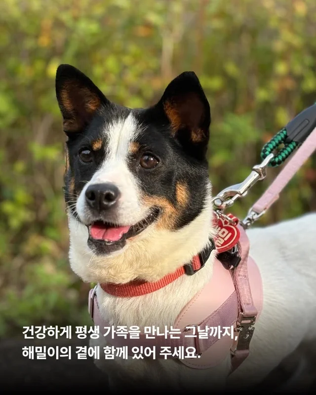 위액트에게 지난 10일은 정말 악몽 같은 시간이었습니.. 현장 사진