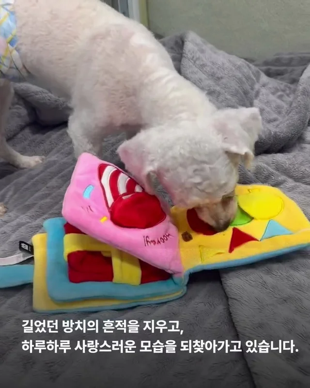 짱 위풍당당한 당진친구들 소식 현장 사진