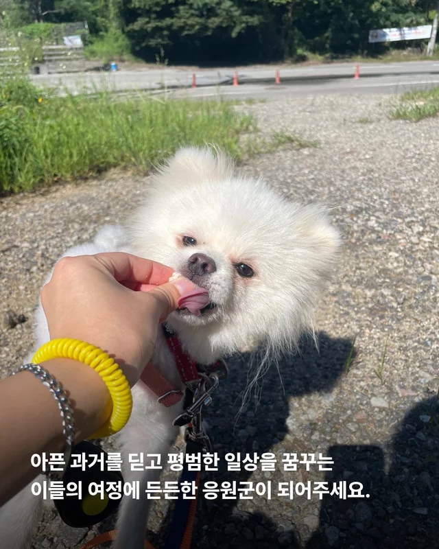 짱 위풍당당한 당진친구들 소식 현장 사진