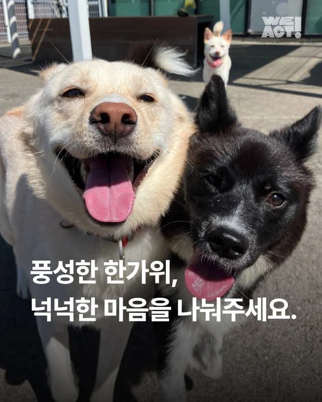 풍성한 한가위, 넉넉한 마음을 나눠주세요 현장 사진
