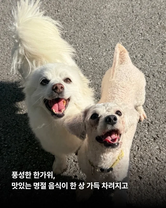 풍성한 한가위, 넉넉한 마음을 나눠주세요 현장 사진