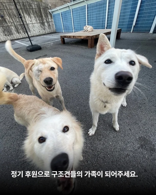 풍성한 한가위, 넉넉한 마음을 나눠주세요 현장 사진
