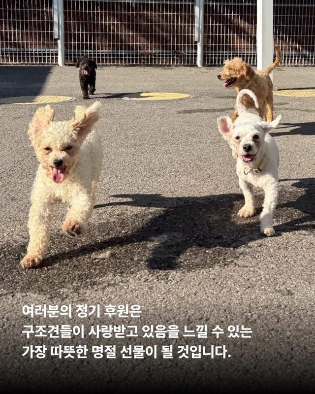 풍성한 한가위, 넉넉한 마음을 나눠주세요 현장 사진