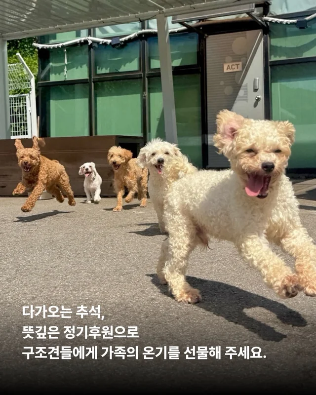 풍성한 한가위, 넉넉한 마음을 나눠주세요 현장 사진