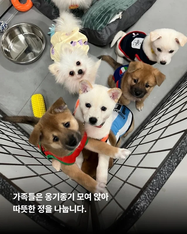 풍성한 한가위, 넉넉한 마음을 나눠주세요 현장 사진