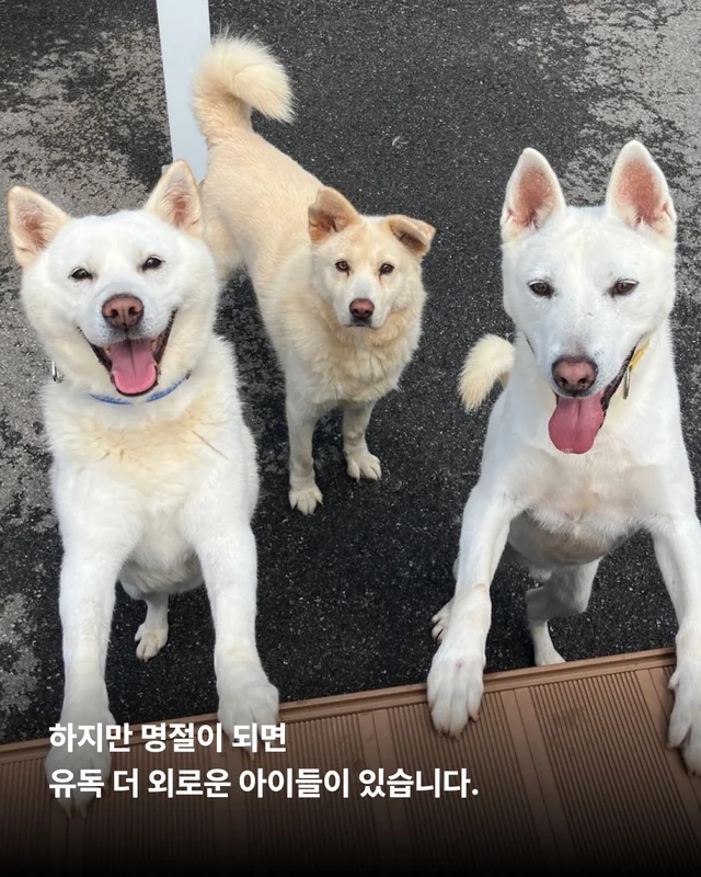 풍성한 한가위, 넉넉한 마음을 나눠주세요 현장 사진