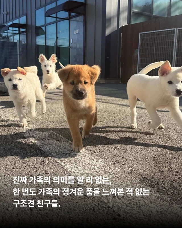 풍성한 한가위, 넉넉한 마음을 나눠주세요 현장 사진