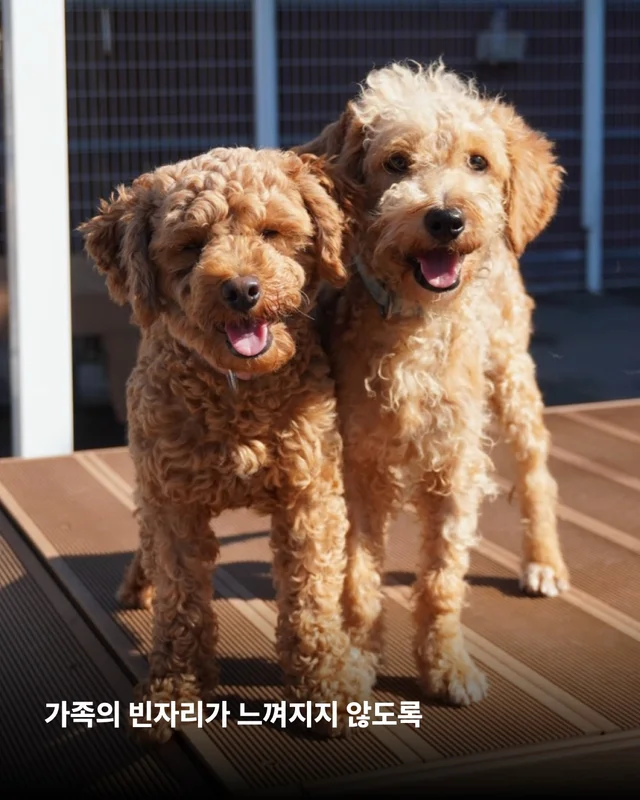 풍성한 한가위, 넉넉한 마음을 나눠주세요 현장 사진