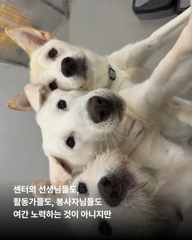 풍성한 한가위, 넉넉한 마음을 나눠주세요 현장 사진