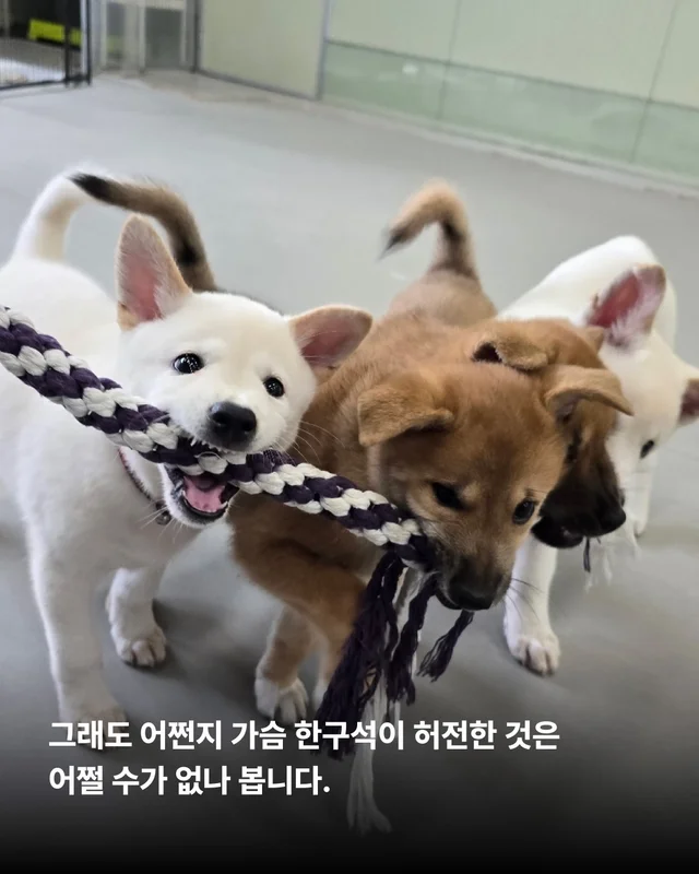 풍성한 한가위, 넉넉한 마음을 나눠주세요 현장 사진