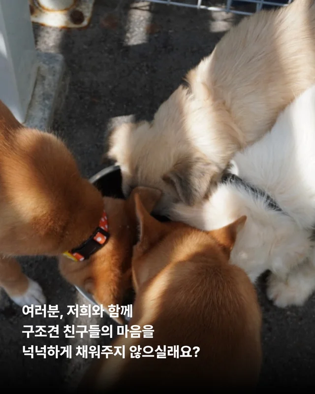 풍성한 한가위, 넉넉한 마음을 나눠주세요 현장 사진