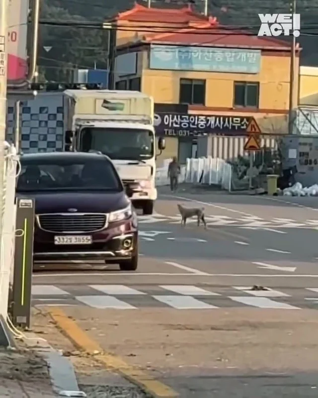 화성피부병가족 현장 사진