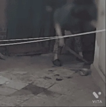 강아지 때려 경찰 다녀간 날…"또 때려야지" 보도 사진