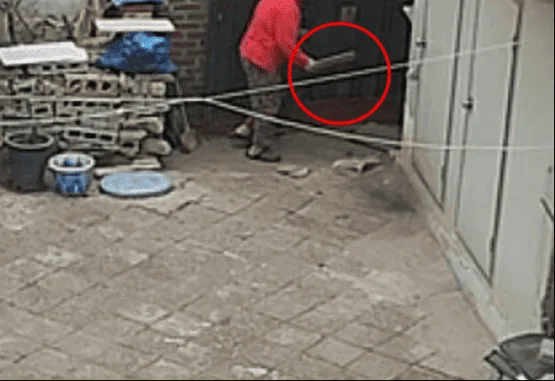 강아지 때려 경찰 다녀간 날…"또 때려야지" 보도 사진