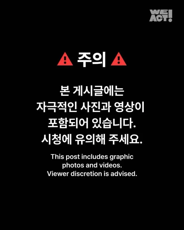 합천 피부고양이 현장 사진