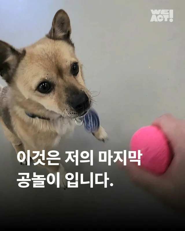 이것은 저의 마지막 공놀이입니다 #위액트순디 현장 사진