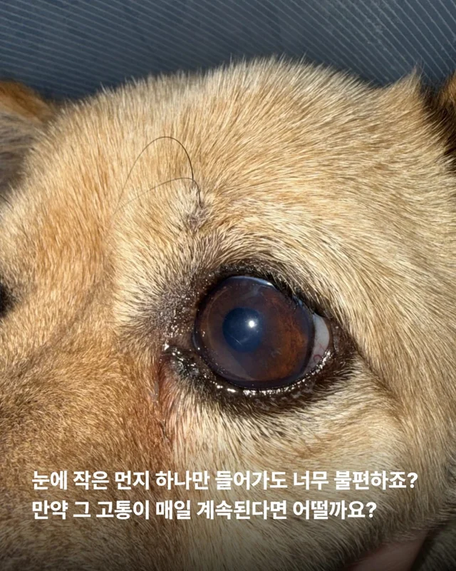 이것은 저의 마지막 공놀이입니다 #위액트순디 현장 사진