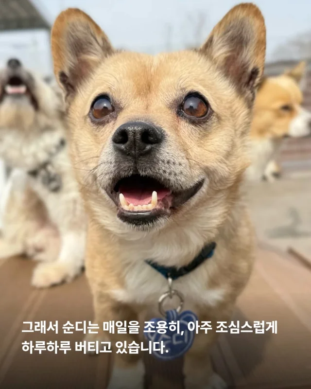 이것은 저의 마지막 공놀이입니다 #위액트순디 현장 사진