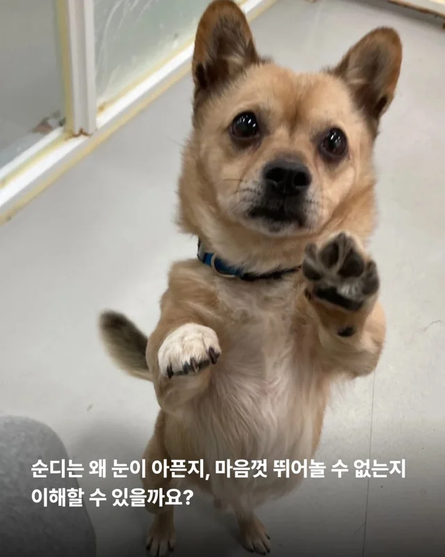 이것은 저의 마지막 공놀이입니다 #위액트순디 현장 사진