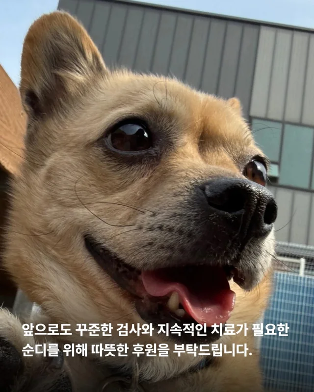 이것은 저의 마지막 공놀이입니다 #위액트순디 현장 사진