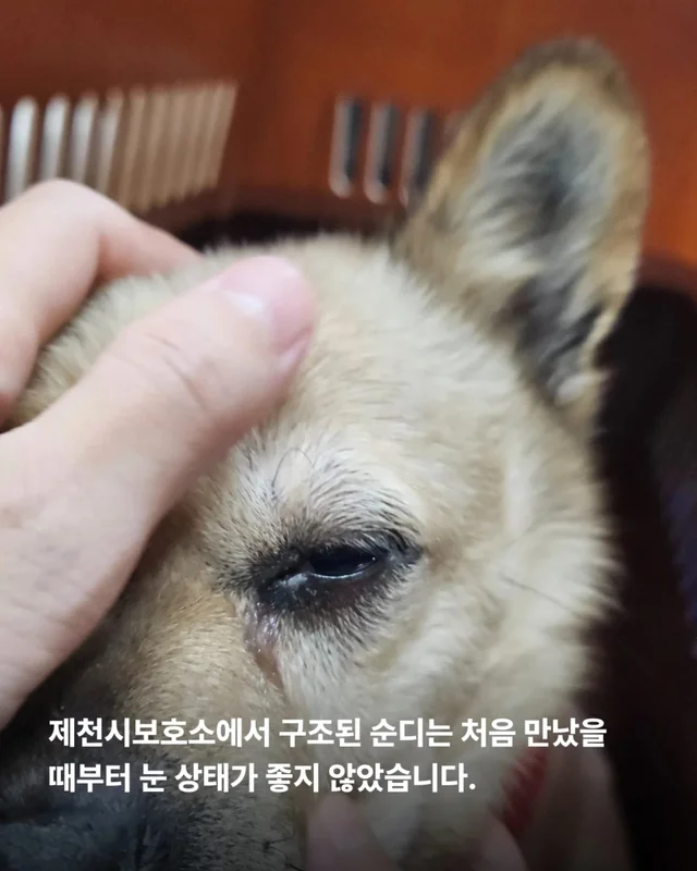 이것은 저의 마지막 공놀이입니다 #위액트순디 현장 사진