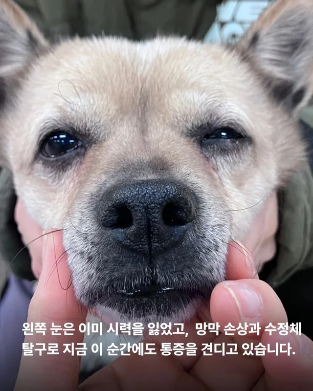이것은 저의 마지막 공놀이입니다 #위액트순디 현장 사진