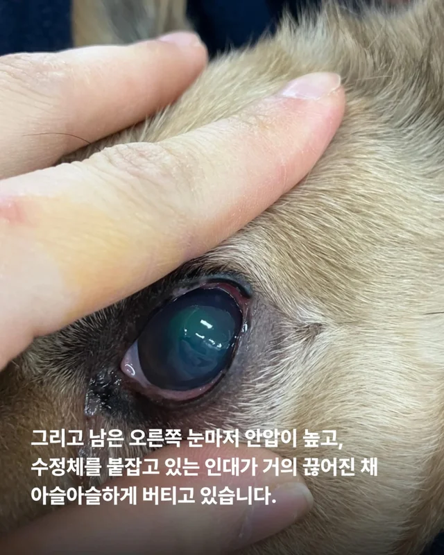 이것은 저의 마지막 공놀이입니다 #위액트순디 현장 사진