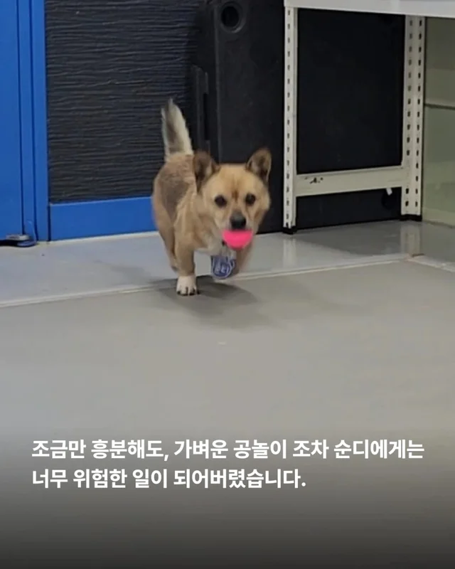 이것은 저의 마지막 공놀이입니다 #위액트순디 현장 사진