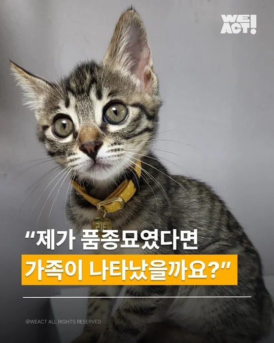 위액트 리타 현장 사진