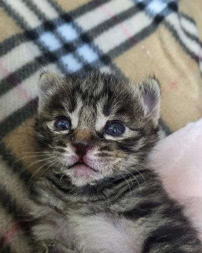 위액트 리타 현장 사진