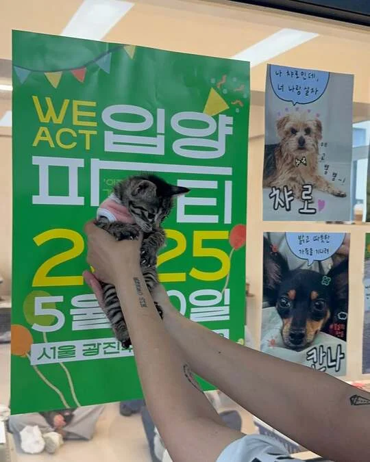 위액트 리타 현장 사진