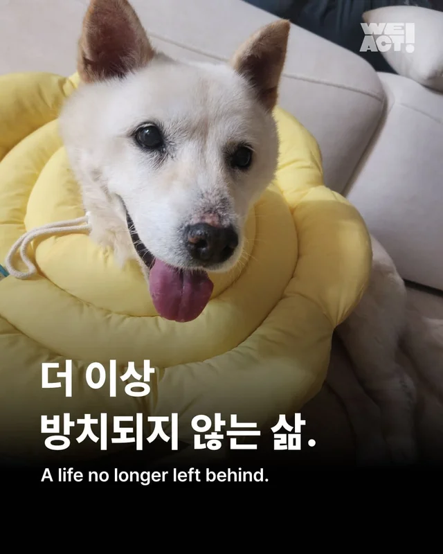 더 이상 방치되지 않는 삶 현장 사진