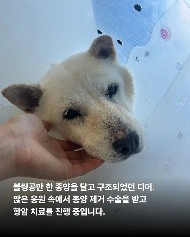더 이상 방치되지 않는 삶 현장 사진
