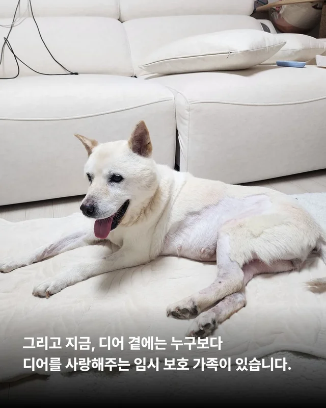 더 이상 방치되지 않는 삶 현장 사진