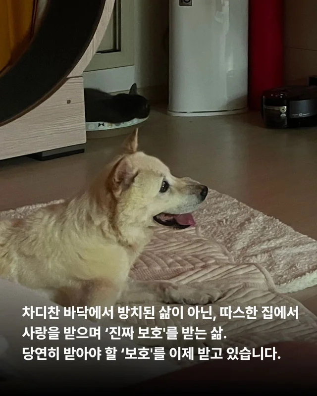 더 이상 방치되지 않는 삶 현장 사진