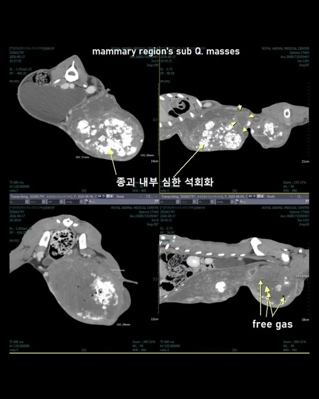 위액트희망CT촬영이 끝났습니다 현장 사진