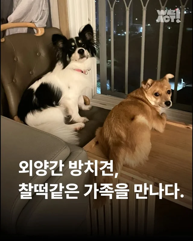위액트 터그 현장 사진