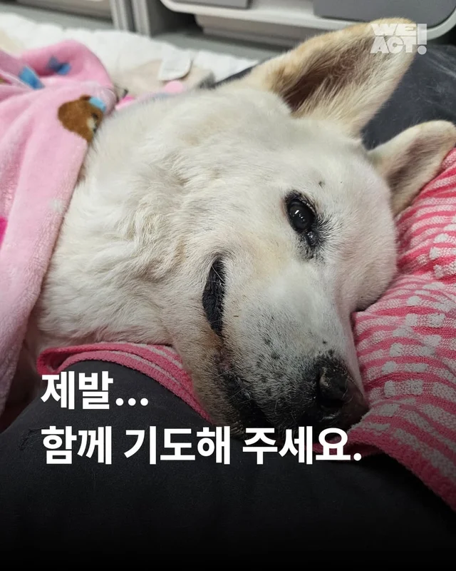 제발 .. 함께 기도해주세요.. 현장 사진