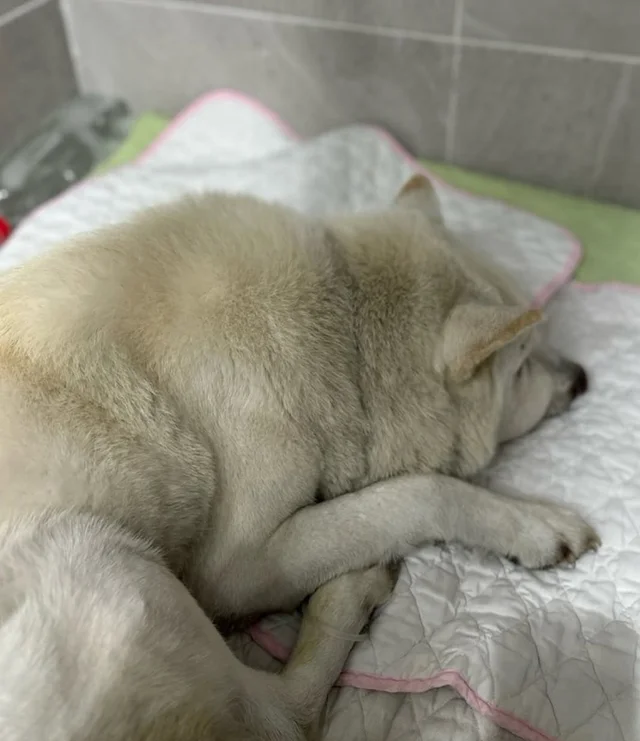 제발 .. 함께 기도해주세요.. 현장 사진