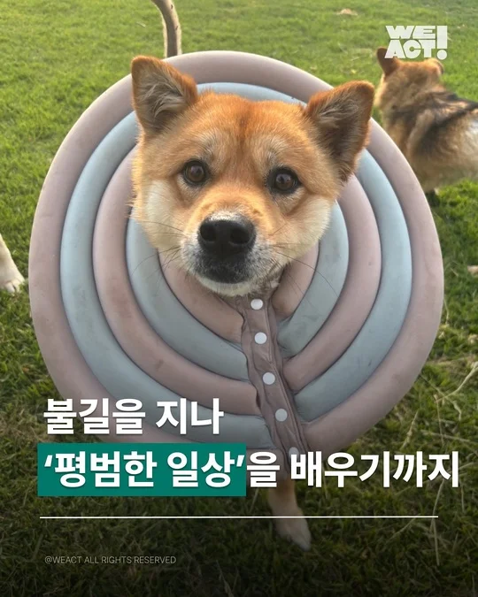 경북산불구조-위액트 아루 현장 사진