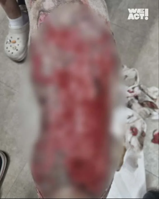 경북산불구조-위액트 아루 현장 사진