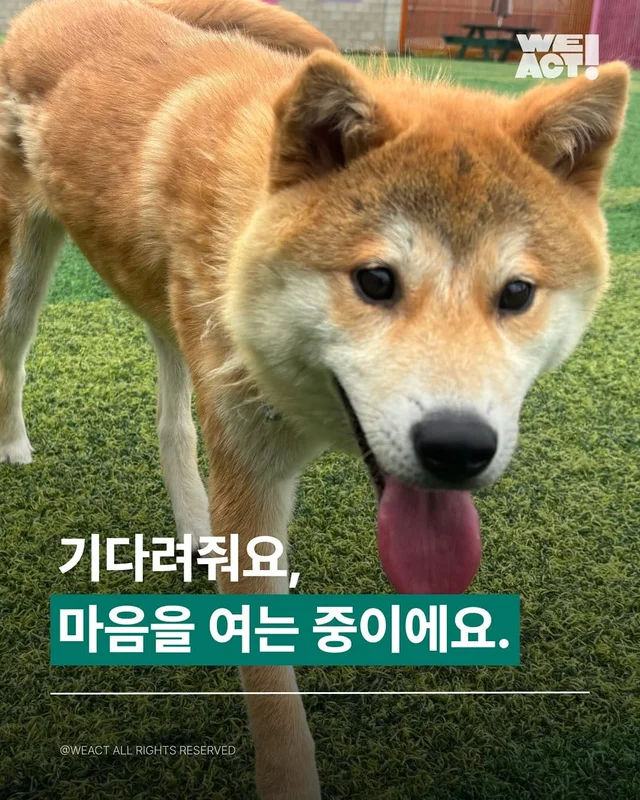 기다려줘요, 마음을 여는 중이에요. 현장 사진
