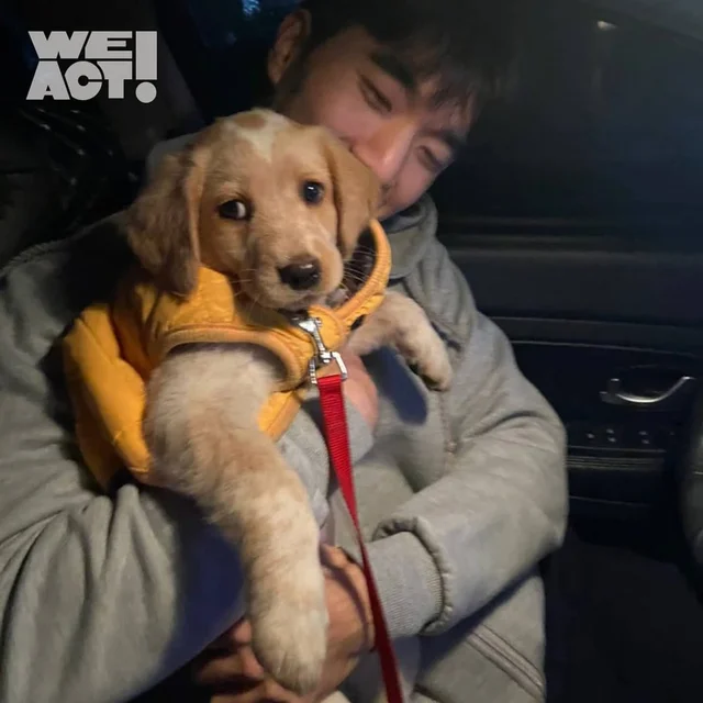 등촌트렁크동물학대 현장 사진
