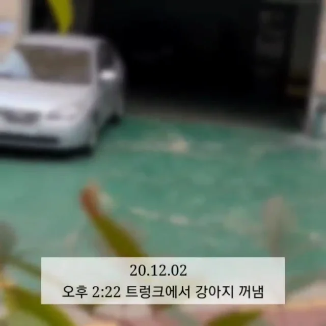 등촌트렁크동물학대 현장 사진