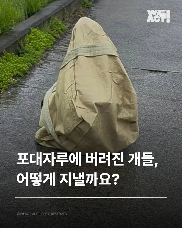 포대자루유기견-위액트쇼콜라, 위액트쿠크 현장 사진