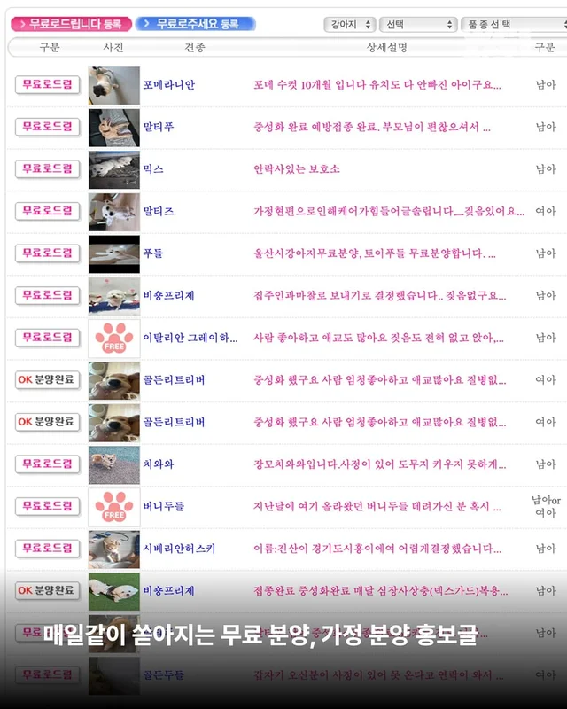 성북구애니멀호더 현장 사진