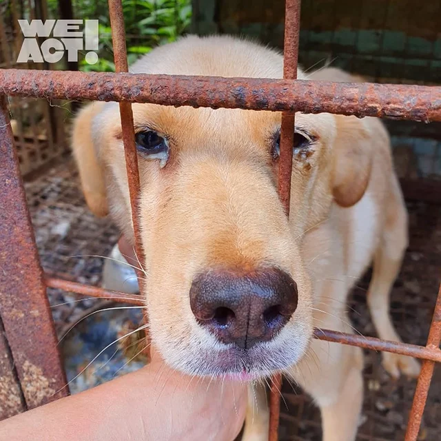 고복개농장 현장 사진