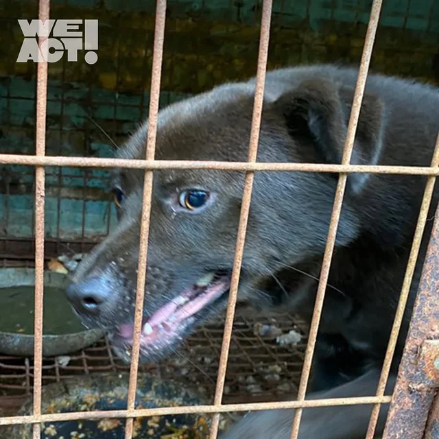 고복개농장 현장 사진