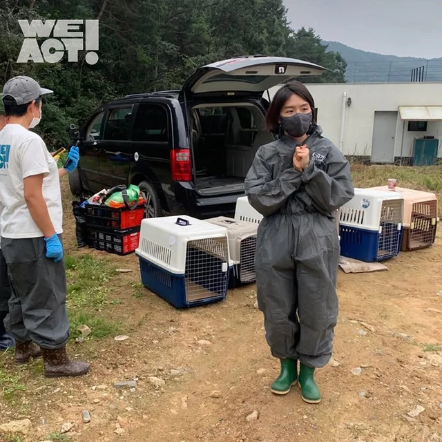 고복개농장 현장 사진