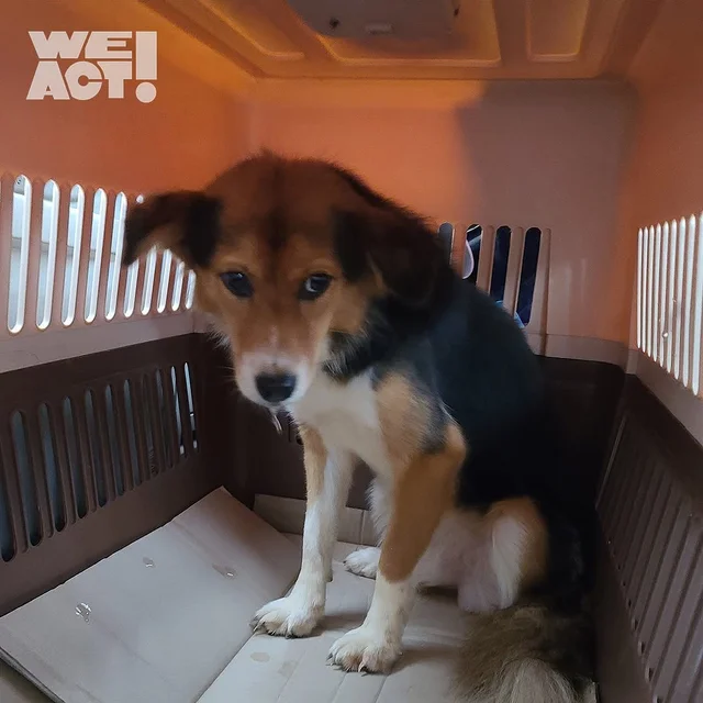 고복개농장 현장 사진